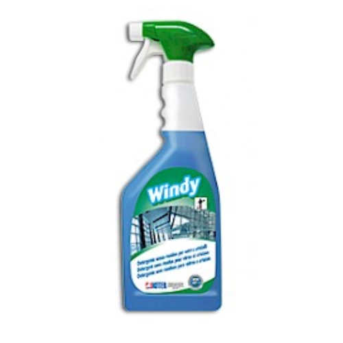 WINDY Pulitore 750 ML